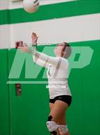 Photo from the gallery "Rye @ St. Mary's"