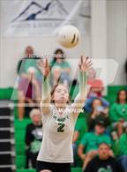 Photo from the gallery "Rye @ St. Mary's"