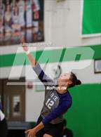 Photo from the gallery "Rye @ St. Mary's"