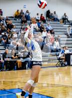 Photo from the gallery "Northridge @ Timnath"