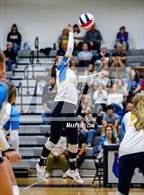 Photo from the gallery "Northridge @ Timnath"