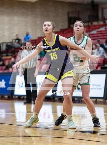 Thumbnail 2 in Ellicott vs. St. Mary's (CHSAA 3A 3rd place game) photogallery.