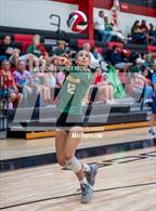 Photo from the gallery "Greenbrier @ Harlem"