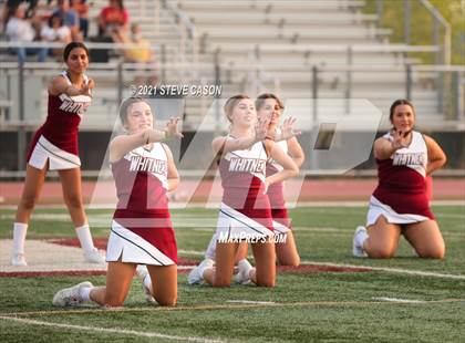 Thumbnail 3 in Chico vs. Whitney  photogallery.