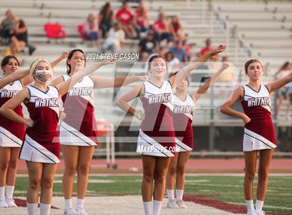 Thumbnail 2 in Chico vs. Whitney  photogallery.