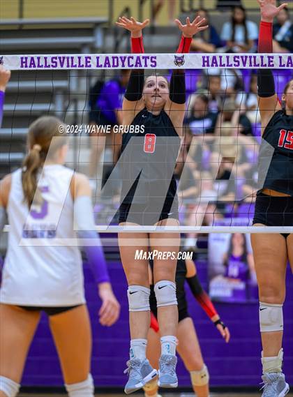 Thumbnail 3 in Tyler Legacy @ Hallsville photogallery.