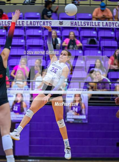 Thumbnail 2 in Tyler Legacy @ Hallsville photogallery.