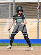 Photo from the gallery "Archie Williams @ Tamalpais"