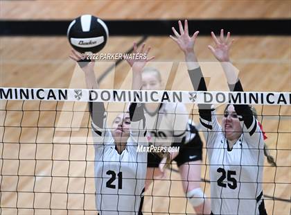 Thumbnail 3 in Archbishop Hannan @ St. Mary's Dominican photogallery.