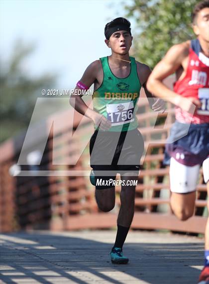 Thumbnail 2 in UIL Cross Country 3A Final (5K) photogallery.