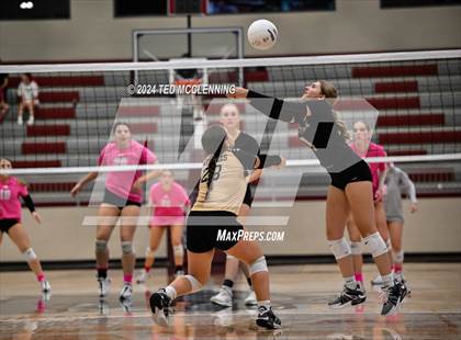 Thumbnail 1 in Pottsville @ Morrilton photogallery.