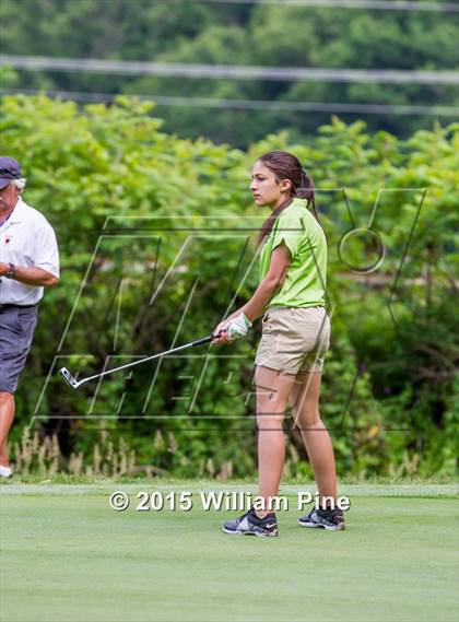Thumbnail 1 in NYSPHSAA Girls Golf Championship (Final Round) photogallery.