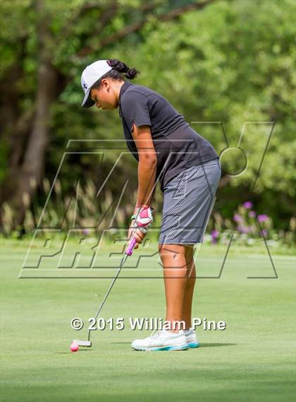 Thumbnail 1 in NYSPHSAA Girls Golf Championship (Final Round) photogallery.