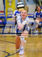 Photo from the gallery "Peetz @ North Park"