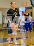 Photo from the gallery "Peetz @ North Park"