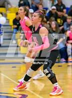 Photo from the gallery "Peetz @ North Park"