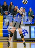 Photo from the gallery "Peetz @ North Park"