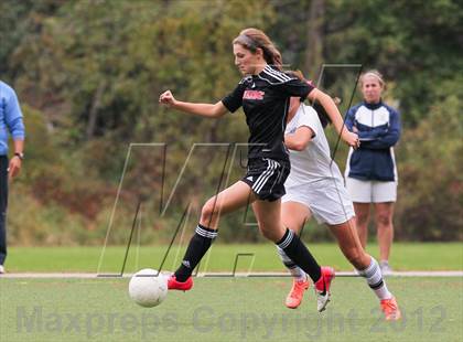 Thumbnail 2 in Warde @ Wilton photogallery.