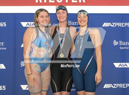 Thumbnail 3 in AIA Division III Championships (Awards) photogallery.