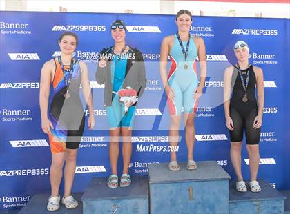 Thumbnail 1 in AIA Division III Championships (Awards) photogallery.