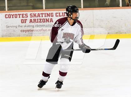 Thumbnail 2 in Desert Mountain vs. Highland (AHSHA Playoff) photogallery.