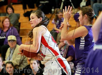 Thumbnail 2 in Petaluma @ Campolindo (CIF NCS D3 Playoffs) photogallery.