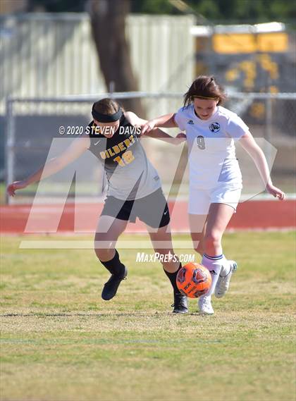 Thumbnail 2 in Cactus Shadows @ Gilbert photogallery.