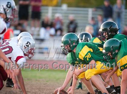 Thumbnail 2 in Bear River @ Placer photogallery.