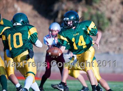 Thumbnail 1 in Bear River @ Placer photogallery.