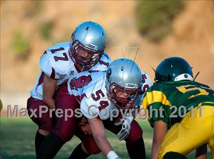 Thumbnail 3 in Bear River @ Placer photogallery.