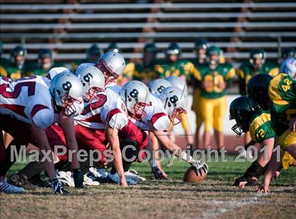 Thumbnail 3 in Bear River @ Placer photogallery.