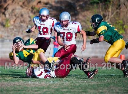 Thumbnail 2 in Bear River @ Placer photogallery.