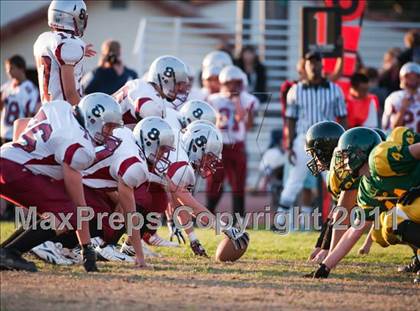 Thumbnail 2 in Bear River @ Placer photogallery.