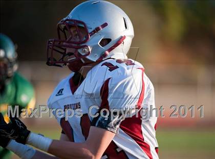 Thumbnail 3 in Bear River @ Placer photogallery.