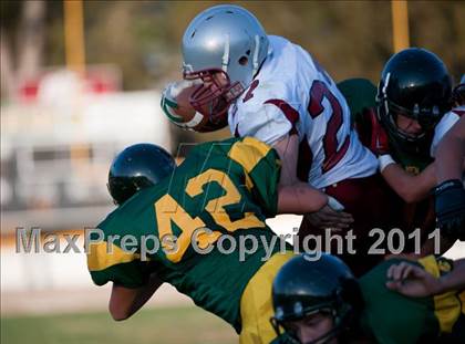 Thumbnail 1 in Bear River @ Placer photogallery.