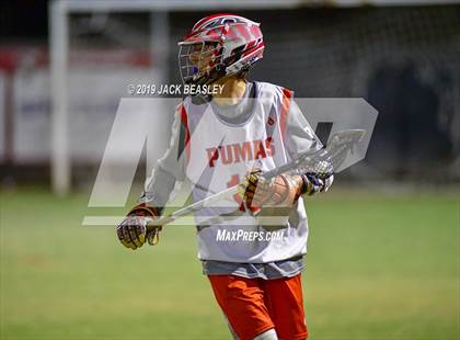 Thumbnail 2 in Perry @ Chandler photogallery.
