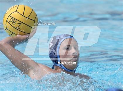 Thumbnail 3 in Sonora vs Walnut photogallery.