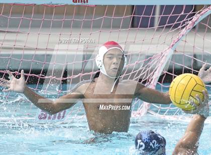 Thumbnail 2 in Sonora vs Walnut photogallery.