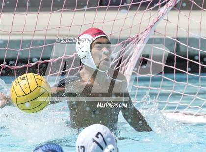 Thumbnail 2 in Sonora vs Walnut photogallery.