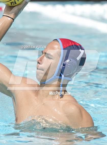 Thumbnail 3 in Sonora vs Walnut photogallery.