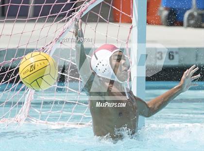 Thumbnail 2 in Sonora vs Walnut photogallery.