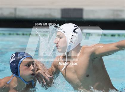 Thumbnail 1 in Sonora vs Walnut photogallery.