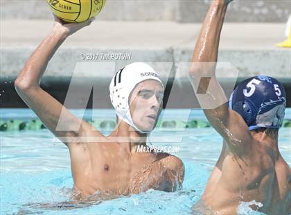 Thumbnail 3 in Sonora vs Walnut photogallery.