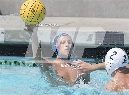 Thumbnail 2 in Sonora vs Walnut photogallery.
