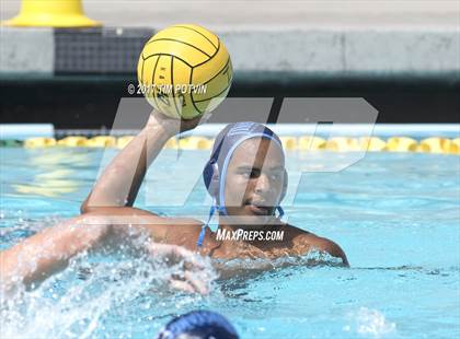 Thumbnail 2 in Sonora vs Walnut photogallery.