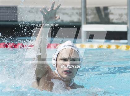 Thumbnail 3 in Sonora vs Walnut photogallery.