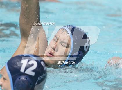 Thumbnail 2 in Sonora vs Walnut photogallery.