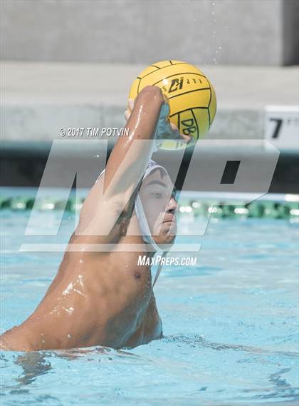 Thumbnail 1 in Sonora vs Walnut photogallery.