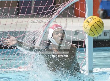 Thumbnail 3 in Sonora vs Walnut photogallery.