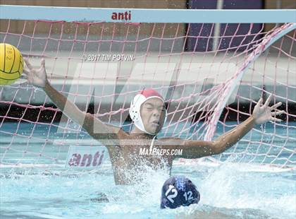 Thumbnail 1 in Sonora vs Walnut photogallery.